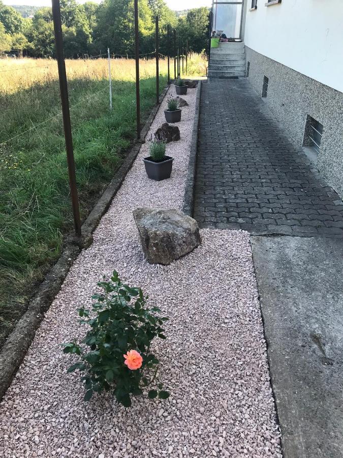 Ferienwohnung Sunny - Moderne Ferienwohnung Im Gruenen In Saarbruecken-West Bagian luar foto