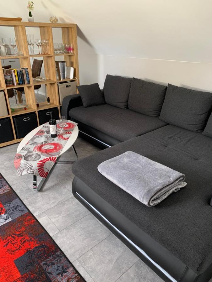 Ferienwohnung Sunny - Moderne Ferienwohnung Im Gruenen In Saarbruecken-West Bagian luar foto